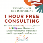 Free Consulting Offer