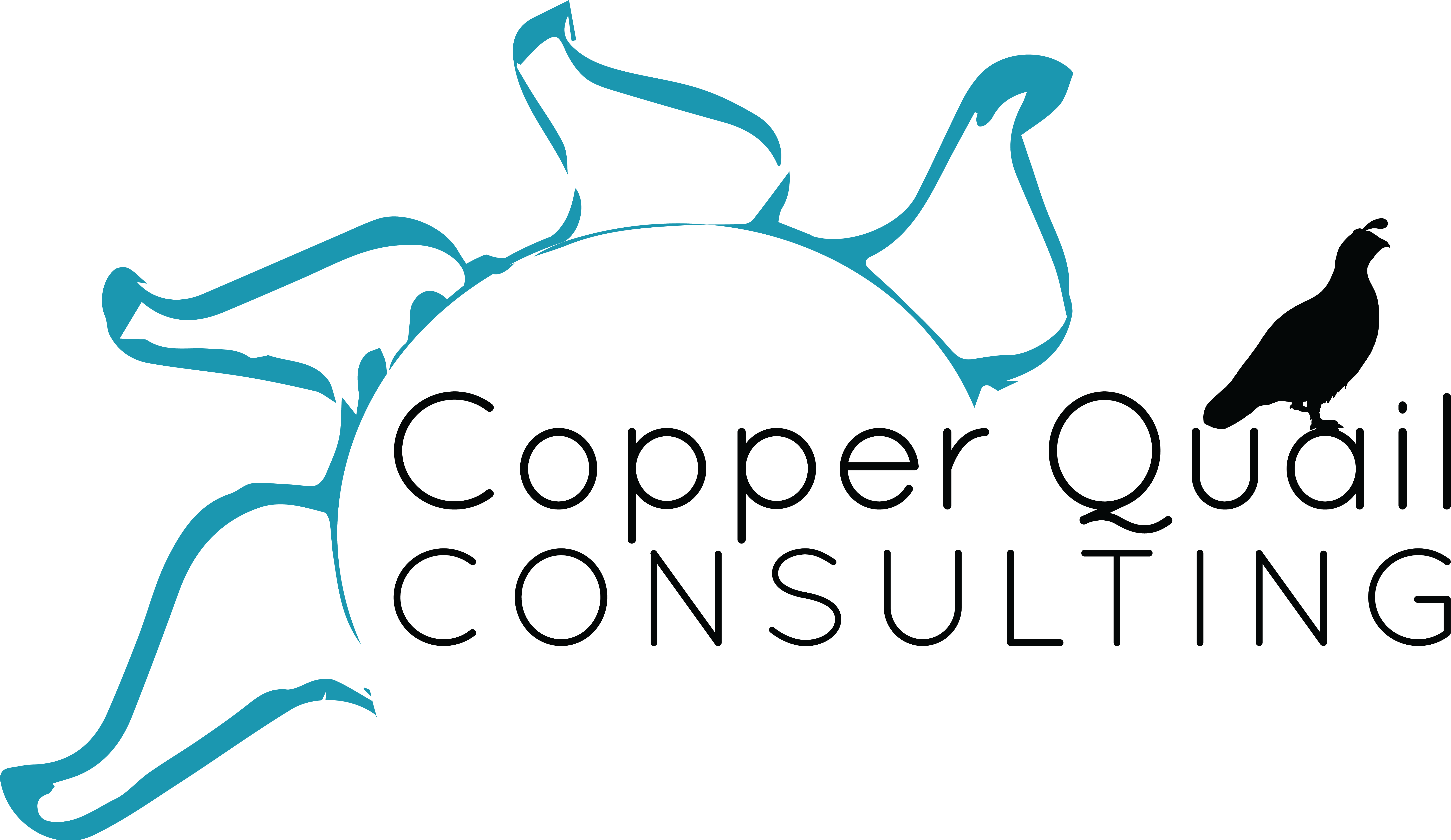 Copper Quail Consulting